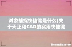 关于天正和CAD的实用快捷键？ 对象捕捉快捷键是什么