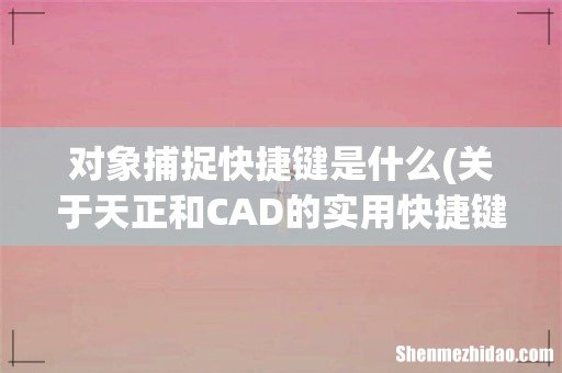 关于天正和CAD的实用快捷键? 对象捕捉快捷键是什么