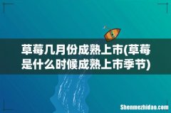 草莓是什么时候成熟上市季节 草莓几月份成熟上市