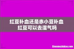 红豆补血还是赤小豆补血 红豆可以去湿气吗