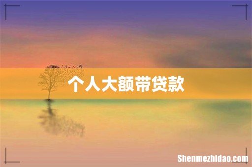 个人大额带贷款