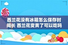 西兰花没有冰箱怎么保存时间长 西兰花变黄了可以吃吗