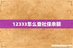 12333怎么查社保余额