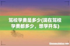 现在驾校学费都多少，想学开车 驾校学费是多少