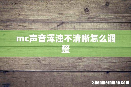 mc声音浑浊不清晰怎么调整
