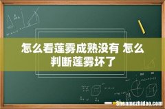 怎么看莲雾成熟没有 怎么判断莲雾坏了