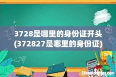372827是哪里的身份证 3728是哪里的身份证开头