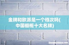 中国橱柜十大名牌 金牌和欧派是一个档次吗