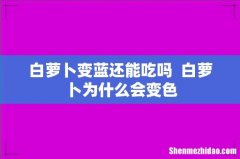 白萝卜变蓝还能吃吗白萝卜为什么会变色
