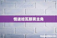 情迷哈瓦那男主角