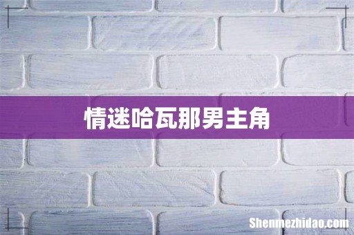 情迷哈瓦那男主角