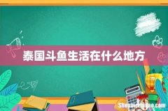 泰国斗鱼生活在什么地方