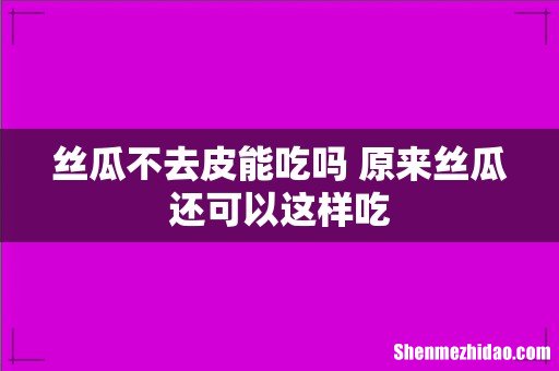 丝瓜不去皮能吃吗 原来丝瓜还可以这样吃