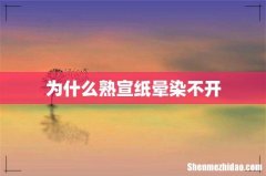 为什么熟宣纸晕染不开
