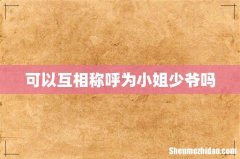 可以互相称呼为小姐少爷吗