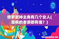 楚枫的老婆都有谁？ 修罗武神主角有几个女人