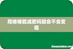 爬楼梯能减肥吗腿会不会变粗