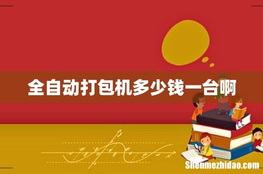 全自动打包机多少钱一台啊
