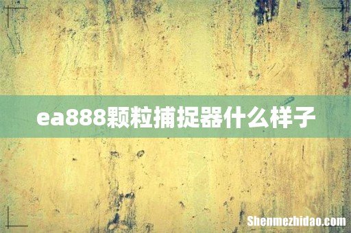 ea888颗粒捕捉器什么样子