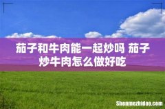茄子和牛肉能一起炒吗 茄子炒牛肉怎么做好吃