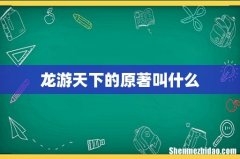龙游天下的原著叫什么