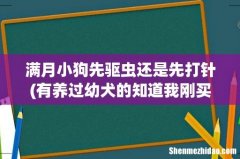 有养过幼犬的知道我刚买的小博美，先驱虫还是先打疫苗？ 满月小狗先驱虫还是先打针