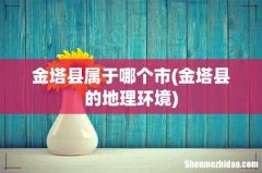 金塔县的地理环境 金塔县属于哪个市