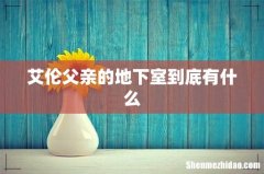艾伦父亲的地下室到底有什么
