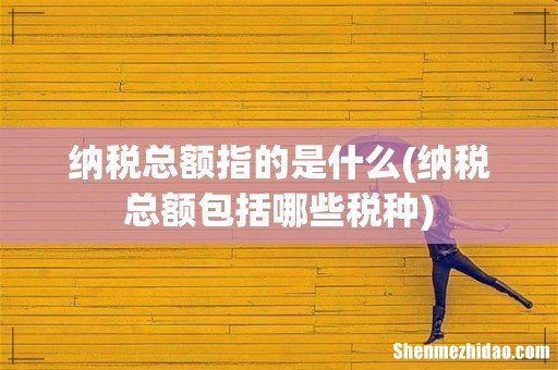 纳税总额包括哪些税种 纳税总额指的是什么