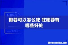 椰蓉可以怎么吃 吃椰蓉有哪些好处
