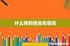 什么样的担当形容词