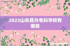 2023山东民办专科学校有哪些