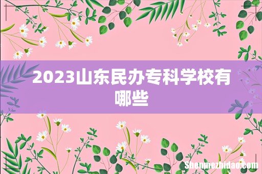 2023山东民办专科学校有哪些