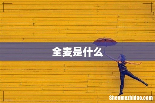 全麦是什么