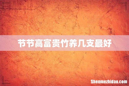 节节高富贵竹养几支最好
