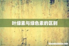 叶绿素与绿色素的区别