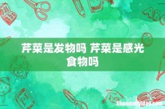 芹菜是发物吗 芹菜是感光食物吗