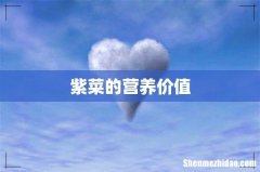 紫菜的营养价值