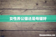 女性养公猫还是母猫好