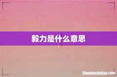 毅力是什么意思