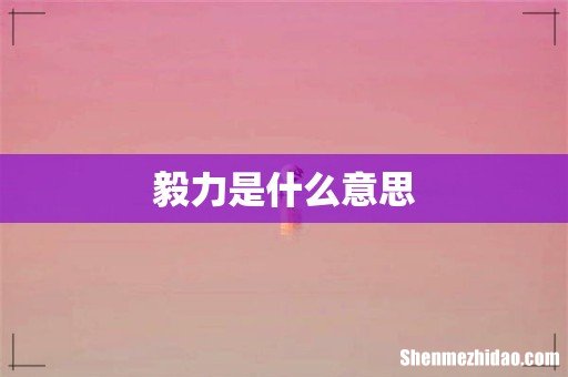 毅力是什么意思
