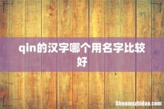 qin的汉字哪个用名字比较好