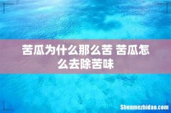 苦瓜为什么那么苦 苦瓜怎么去除苦味