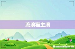 流浪猫主演