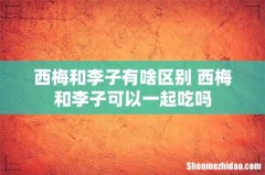 西梅和李子有啥区别 西梅和李子可以一起吃吗
