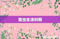 鲎虫生活时期