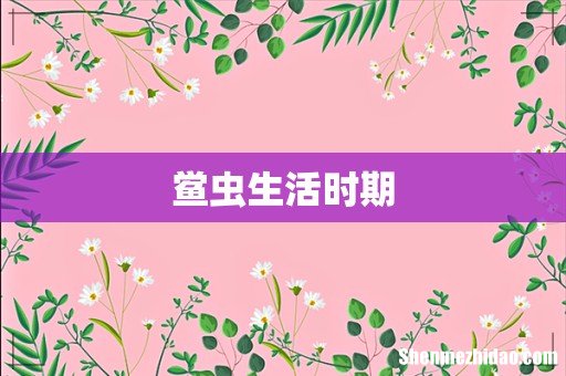 鲎虫生活时期