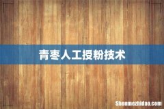 青枣人工授粉技术