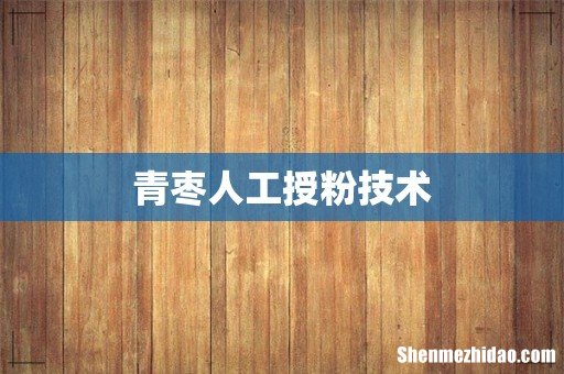 青枣人工授粉技术