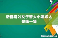 活佛济公女子替大小姐嫁人是哪一集